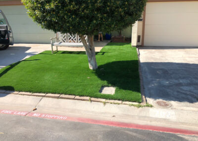 Bluegrass Supreme Turf installation in Campbell, Ca