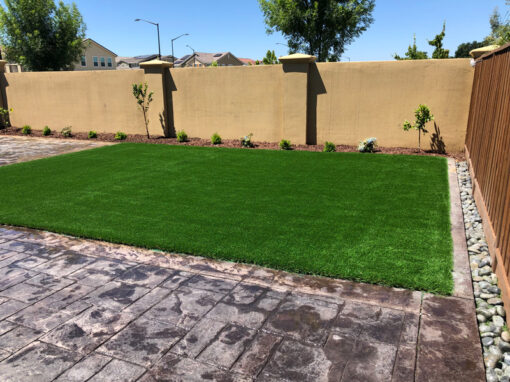 Bluegrass Supreme Turf installed in Gilroy, Ca