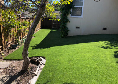 Natural Sod Platinum Installed in San Jose, CA